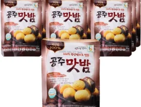 타임특가 국산밤으로 만든 꿀맛 공주맛밤 50g  30봉 자신에게 투자하세요