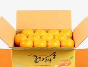 타임특가 제주 귤로장생 천혜향 4kg 조회수 급등