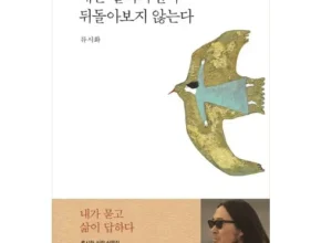 놓치면 후회 할 좋은지나쁜지누가아는가 패키지