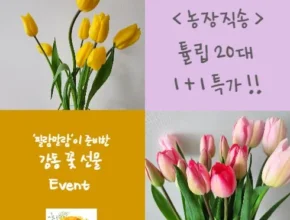 시즌제품 필랑말랑 인기의 비결은?