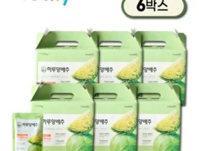신학기best HY 하루양배추 6박스 패키지