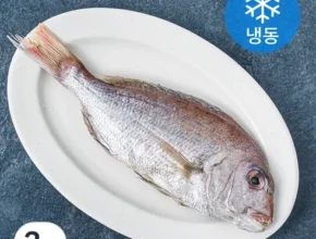 혁신적인  국내산 반건조 참돔 300g7마리 판매베스트