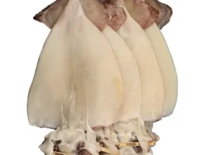 기간한정 특가전 영덕 반건조 피데기오징어 2.5kg 좋아하는 이유는?