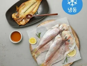 인스타에서 대박난 제주 실속형 남진해 3kg 기획전