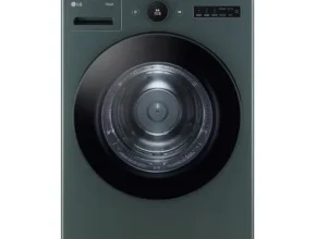 유튜브에서 대박난 제품 LG 트롬 오브제컬렉션 건조기 22kg RD22ES RD22GS 조회수 급등