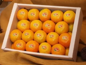 꼭 명절선물 이것으로 하세요 꿈의 제주여행 3박4일 실속패키지 합리적인 가격