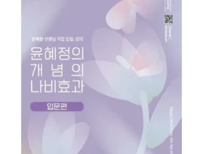 명절 나비효과윤혜정 가성비템