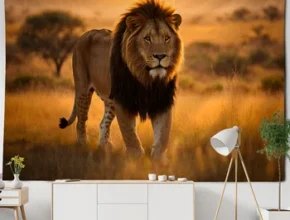 프리미어 상품 ​2024&nbsp;요즘 sns에서 난리난 베베숲물티슈&nbsp; 리뷰 최다로 엄선된 최고의 제품을 소개합니다. 최고의 리뷰선정