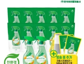 놓치면 후회 할 시즌3 다용도세정제 본품 550mlx1 스프레이건 꾸준히 잘 팔리는 이유?