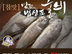 명절선물 영광법성포 굴비 소장대 60미 판매베스트