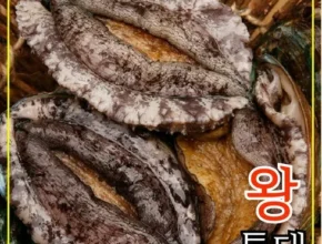 생활의 품격을 높이다 완도활전복 특특대 15미 합리적인 가격