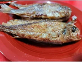 고급 선물세트 전통 부세 보리굴비 꾸준히 잘 팔리는 이유?