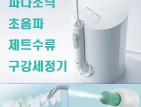 명절에 기가막힌 선물로 딱 파나소닉 제트워셔 무선 구강세정기 11세트 합리적인 가격