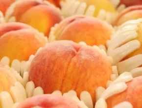 명절에 선물해보세요 하늘작 충주 복숭아 5kg 황도 인기의 비결은?