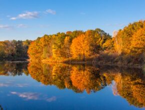 방금 전달받은 ​10월 강원도 여행지 추천 추천드릴게요