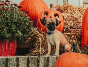 꾸준한 인기 ​10월 국내 여행지 추천 확인 부탁드립니다