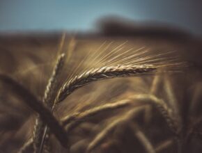 핫 소식 ​농할상품권 9월 지금 바로 공개합니다