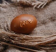 대박소식 ​농할상품권 사용처 알려드립니다