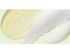 특별한 날을 맞아 준비한 요즘 대세인 ​맥스클리닉 골든선인장 오일폼 완벽한 스팩은 어디까지일까요? 상세히 리뷰 해보겠습니다. BEST