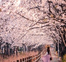 추가소식 ​서울근교 온천 확인하시죠