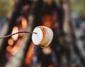 꾸준한 인기 ​캠핑요리 궁금하시죠?