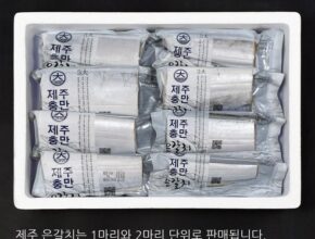 합리적인 소비 방송에서 봤던 해담 제주은갈치  네벨스톡에서 소개해드립니다. 꾸준히 잘 팔리는 이유?