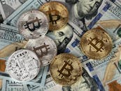 꿀 소식 블럭체인 (Blockchain)