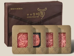 생활의 품격을 높이다 방송에서 봤던 강병원한우투뿔스테이크 150gx10팩&nbsp; 네벨스톡에서 소개해드립니다.