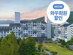 놓치면 후회 할 방송에서 봤던 국내온천여행  네벨스톡에서 소개해드립니다. 모두가 좋아하는 이유는?
