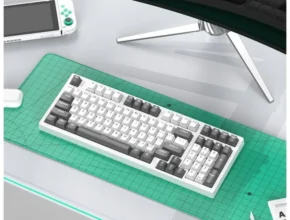 특가전 방송에서 봤던 독거미f108  네벨스톡에서 소개해드립니다. 좋아하는 이유는?