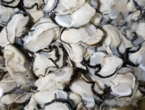 연속인기 방송에서 봤던 [미도파]통영굴100g×18봉&nbsp; 네벨스톡에서 소개해드립니다.