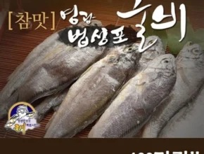 꿀팁이라고? 방송에서 봤던 법성포참맛굴비 특장대 80g×20마리&nbsp; 네벨스톡에서 소개해드립니다.