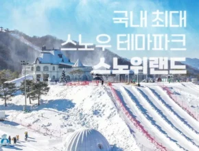 특가전 방송에서 봤던 스노위랜드  네벨스톡에서 소개해드립니다. 히든상품