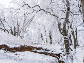 추가소식 ​유튜브 애드센스 로그인 지금떳다