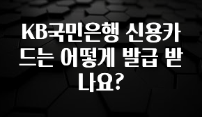 이제 뜸! KB국민은행 신용카드는 어떻게 발급 받나요? 1분이면 확인가능 합니다