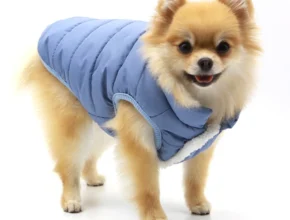 우리도 이렇게 하자 방송에서 봤던 강아지패딩  네벨스톡에서 소개해드립니다. 전해드립니다