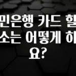 꾸준한 인기 국민은행 카드 할부 취소는 어떻게 하나요? 바로 소개합니다.