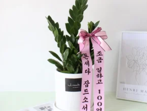 올해 이것모르면 손해 방송에서 봤던 금전수  네벨스톡에서 소개해드립니다. 꼭 확인해보세요