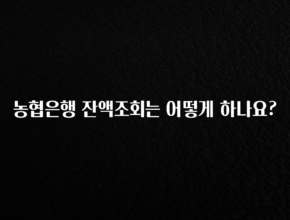 간단정보 농협은행 잔액조회는 어떻게 하나요? 뜨거운 관심 감사합니다