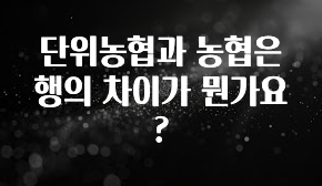 일단 무조건 저장하기 단위농협과 농협은행의 차이가 뭔가요? 30초면 확인 가능합니다