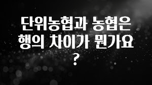 일단 무조건 저장하기 단위농협과 농협은행의 차이가 뭔가요? 30초면 확인 가능합니다