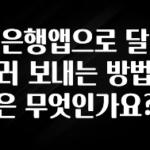 공감주의 은행앱으로 달러 보내는 방법은 무엇인가요? 궁금하시죠?