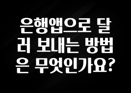 공감주의 은행앱으로 달러 보내는 방법은 무엇인가요? 궁금하시죠?