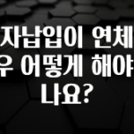 사계절 사랑받는 이자납입이 연체된 경우 어떻게 해야 하나요? 실사용 후기