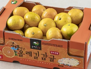 정성을 다하는 방송에서 봤 감귤 한 번에 알려드립니다