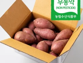 꼭 봐야하는 이유 방송에서 봤 김의준고구마 알려드립니다
