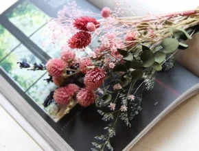 금주의 인기 더봄 꼭 알아두세요