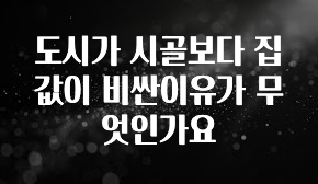 사랑을 담은 도시가 시골보다 집값이 비싼이유가 무엇인가요 확인해보세요