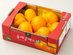 싹 다알려줌 방송에서 봤 레드향 업데이트된 소식입니다