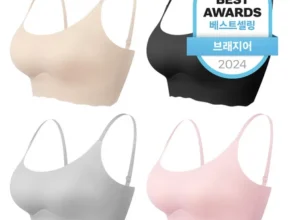 꾸준한 사랑을 받은 꼭 갖고싶은 브라 제가 소개해 드립니다 요약정리